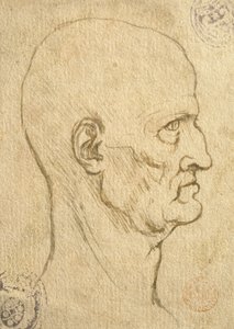 Estudio de proporciones humanas de Leonardo da Vinci